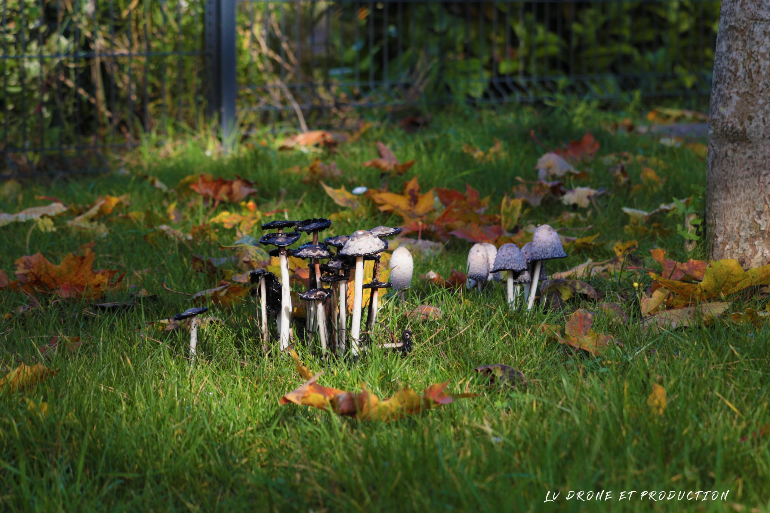 image d'un photographe à lille